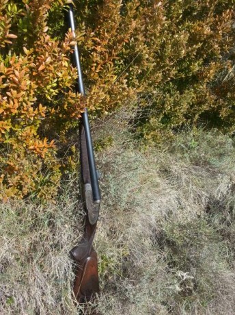 Vendo Escopeta Victor Sarasqueta paralela con mira y alza de rifle,cañon corto, 02