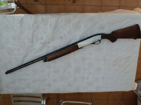 ---VENDIDA---
Escopeta semiautomatica Winchester 1500 ,
calibre 12/70,cañon 71cm,choque fijo 2** 
!!"Tiene 20
