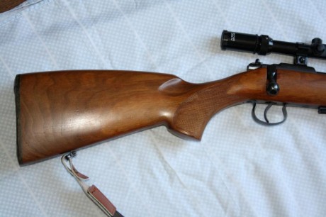 Buenos días 
Se vende carabina marca BRNO calibre 22LR de cerrojo En perfecto estado, esta como nueva, 10