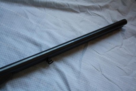 Buenos días 
Se vende Escopeta marca BERNARD calibre 12, Paralela, muy poco uso, en perfecto estado  Precio 00