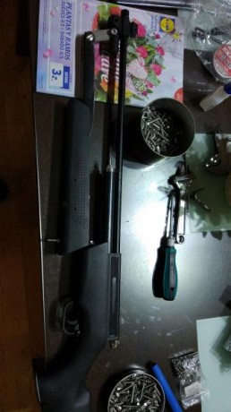 Que os parece???

https://www.blackrecon.com/carabina-webley-rebel.html 31