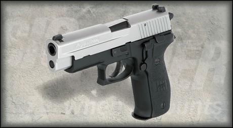 Hola,
Busco una Sig Sauer p226 bitone 9mmPb (armazón negro y corredera inox). En perfecto estado de tiro 00