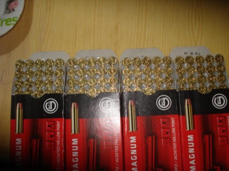 Hola,

Reservadas 200 vainas Geco del .357 Magnum con un solo tiro, disparadas en un S&W Target Champion, 01