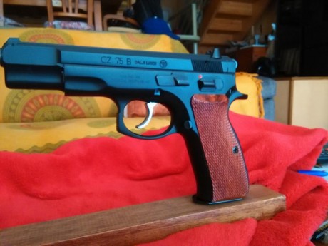 Hola amigos! ya que se muestran tantas armas buenas creo que a los propietarios de una cz 75 se nos tendría 132