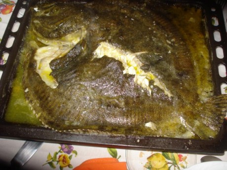 Suma y sigue...  :zebFat: 121