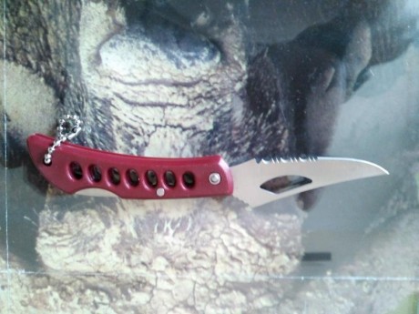 Se vende precioso cuchillo Bowie, nuevo. Caza supervivencia.
Hoja de una pieza,mango dxxe madera con adornos 10