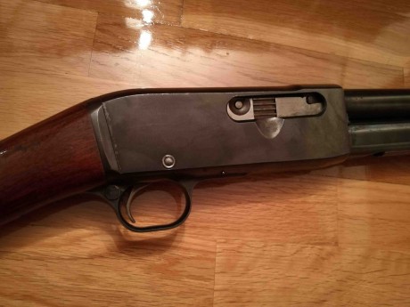 Hola a todos,

Os presento lo que, en mi opinión, constituye todo un hallazgo en materia de armas largas 20
