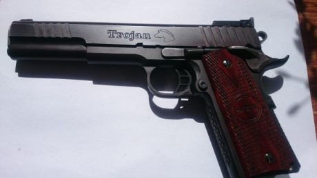 PUES ESO
otro hierro para sacar
trojan de 6 pulgadas como mucho con 300 tiros (no los he contado, pero 01