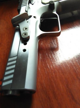 Se vende Tanfoglio Stock para la caegoría Standard de IPSC, en calibre 9mmp. Perfecto funcionamiento, 40