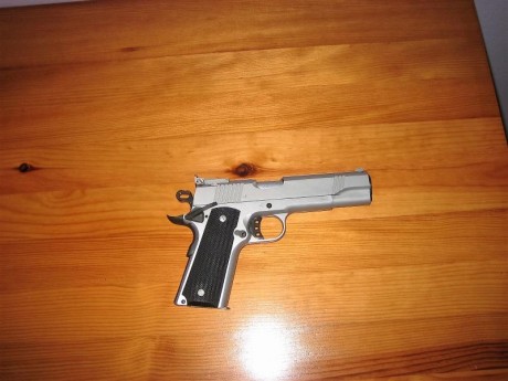 Hola. Vendo este arma con menos de 100 disparos, tiene un mes, estrenada por mi, muy buena precisión y 01