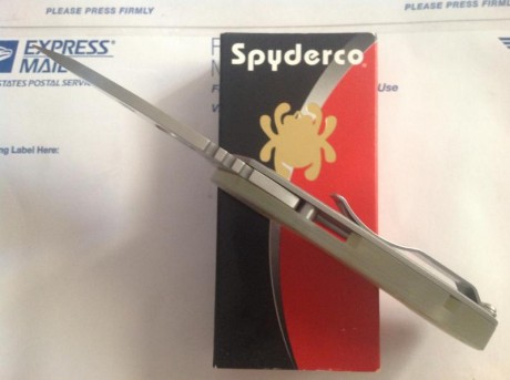 Hola a todos:

Pongo a la venta una Spy Leafstorm, completamente nueva. Modelo descatalogado, colaboración 00