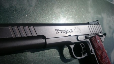 PUES ESO
otro hierro para sacar
trojan de 6 pulgadas como mucho con 300 tiros (no los he contado, pero 30