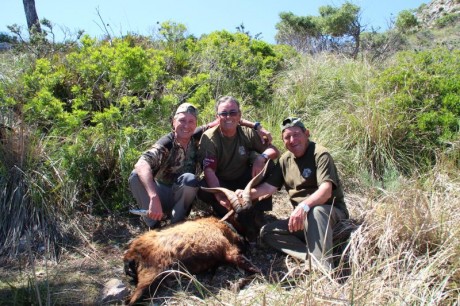Hola:
Vamos al lio;
En un buen blog de caza lei
Para abatir un animal de piel fina , e nreposo de hasta 40