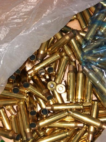 Vendo vainas 308W LAPUA,de un tiro.
 VENDIDAS  00