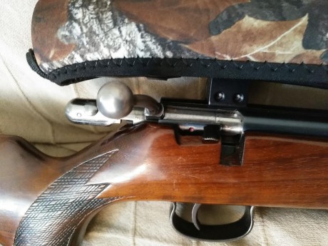 Hola a todos, 

Pues eso, busco carabina Anschütz de cerrojo calibre 22 lr.
Perfecta, tanto de pavón como 60