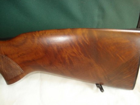 Se vende:
- Carabina CZ452 ZKM en calibre .22Magnum. Incluye:
- Visor Bushnell 3-9x40mm
- Dos Cargadores 11