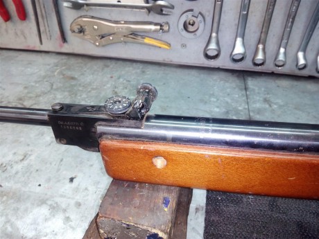 Hola compis, os pido vuestra ayuda para identificar este modelo de Gamo que un amigo me ha dejado para 01
