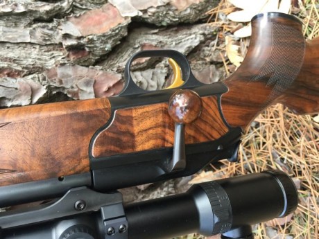 VENDO BLASER R93 ATTACHÉ 7mm RM. USADO MUY POCO ,SOLO ESPERAS .
MADERA GRADO 7,CABEZAL DE TITANIO, CAÑÓN 01