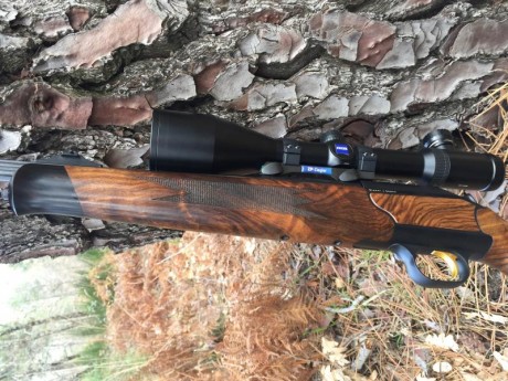 VENDO BLASER R93 ATTACHÉ 7mm RM. USADO MUY POCO ,SOLO ESPERAS .
MADERA GRADO 7,CABEZAL DE TITANIO, CAÑÓN 12