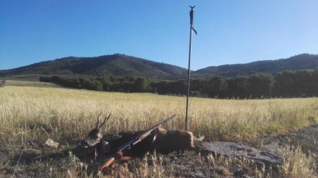 ¿que os parece si abrimos este hilo con trofeos no homologados? ... :lol: 
Bueno yo pongo la primera foto: 170