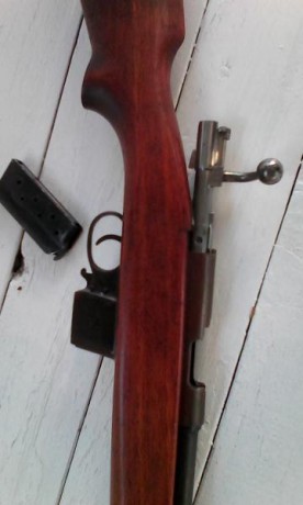 Carabina Destroyer 225€ portes incluidos 00