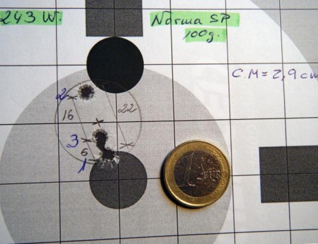 ¿Nos animamos a mostrar blancos de nuestros rifles de caza habituales? Con la munición que habitualmente 142