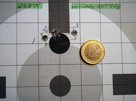 ¿Nos animamos a mostrar blancos de nuestros rifles de caza habituales? Con la munición que habitualmente 140