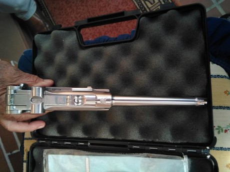 Hola compañeros deseo cambiar esta Luger stoeger de acero inoxidable por una P08 que esté en el mismo 00