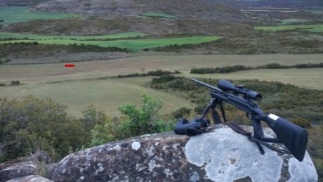 ¿Nos animamos a mostrar blancos de nuestros rifles de caza habituales? Con la munición que habitualmente 121