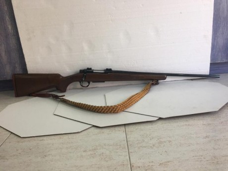 Buenas tardes
Vendo 2 rifles practicamente nuevos,el ardesa outfitter a tirado exactamente 7 disparos,y 30