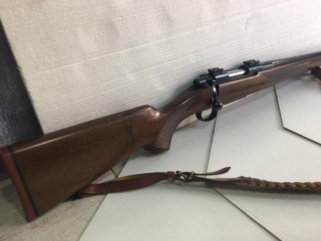 Buenas tardes
Vendo 2 rifles practicamente nuevos,el ardesa outfitter a tirado exactamente 7 disparos,y 50