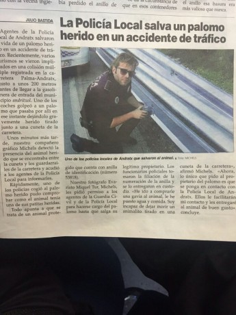 ¡Muy buenas a todos!

Estaba dando un paseo por el foro, cuando me he dado cuenta de que no había un hilo 50