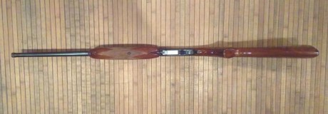 Hola a todos,

Pongo en venta una carabina semiautomática del calibre .22, Norinco copia de la Remington, 02