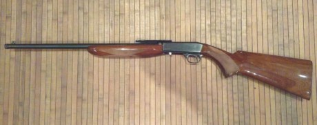 Hola a todos,

Pongo en venta una carabina semiautomática del calibre .22, Norinco copia de la Remington, 01