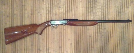 Hola a todos,

Pongo en venta una carabina semiautomática del calibre .22, Norinco copia de la Remington, 00