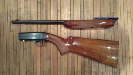 Hola a todos,

Pongo en venta una carabina semiautomática del calibre .22, Norinco copia de la Remington, 12