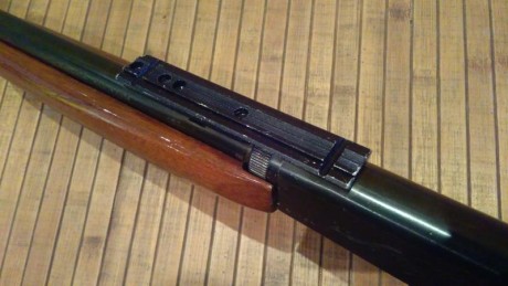 Hola a todos,

Pongo en venta una carabina semiautomática del calibre .22, Norinco copia de la Remington, 11