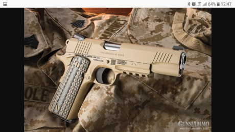 Hola a todos los compañeros,un amigo me pide que le ponga en venta esta pistola,no tendra mas de 100 o 41