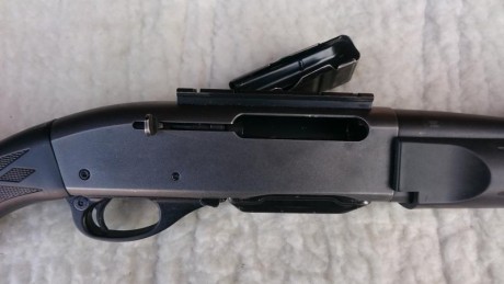 Vendo Remington 7400 sintetico en calibre 35 whelen. 


Un saludo  :clint: 02