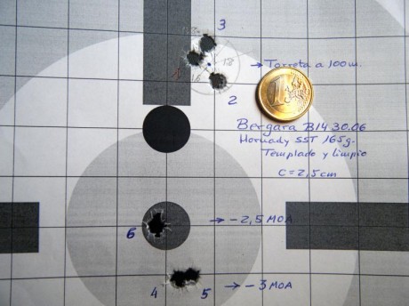 ¿Nos animamos a mostrar blancos de nuestros rifles de caza habituales? Con la munición que habitualmente 160