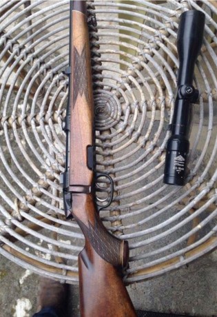 Un amigo quiere vender su rifle Steyr Mannlincher  calibre 270,con gatillo al pelo,monturas Mannlincher 01