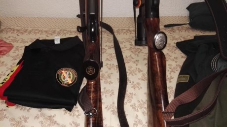 Alguno habeis desmontado la pieza que trae superpuesta en la madera el Sauer 202.
Lo pregunto, por estar 02