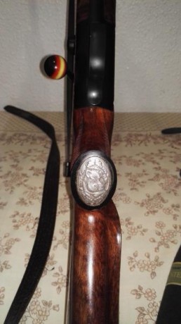 Alguno habeis desmontado la pieza que trae superpuesta en la madera el Sauer 202.
Lo pregunto, por estar 01