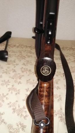 Alguno habeis desmontado la pieza que trae superpuesta en la madera el Sauer 202.
Lo pregunto, por estar 00