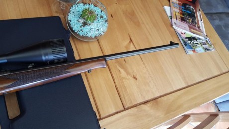 Hola vendo carabina de cerrojo 
Tiene un visor ARCEA 8.24.50
La carabina esta impecable ni un rasguño 10