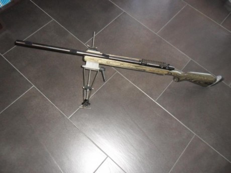 Lo vendo por 700 € solo el arma, lleva incorporada una cantonera regulable, base de 20 moas y un disipador 12
