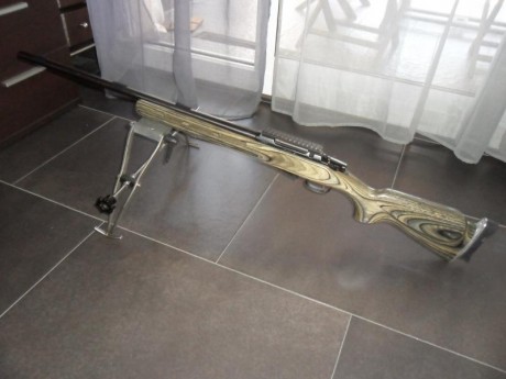 Lo vendo por 700 € solo el arma, lleva incorporada una cantonera regulable, base de 20 moas y un disipador 11