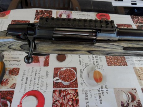 Lo vendo por 700 € solo el arma, lleva incorporada una cantonera regulable, base de 20 moas y un disipador 22