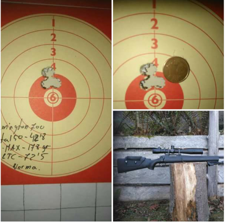 ¿Que visor, anillas, bases aconsejais para un rifle de avancarga Ardesa Pursuit del .50? Entiendo que 170