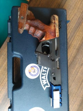 Buenos días, pongo a la venta mi GSP EXPERT calibre 22 lr. Estado y funcionamiento impecables, pido 750€ 00